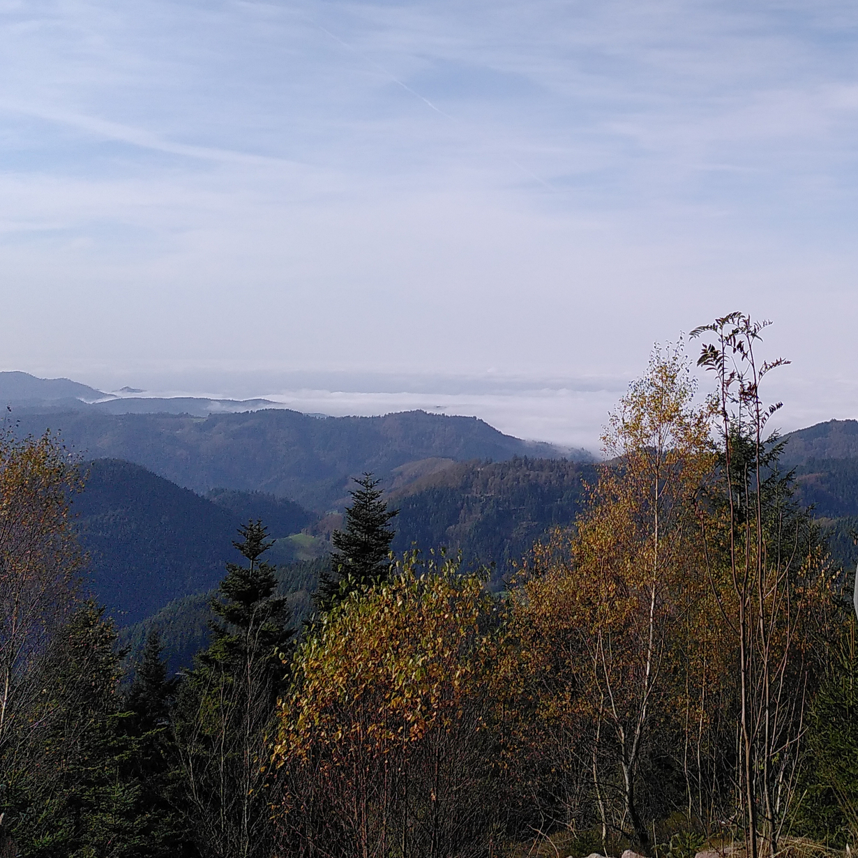 View from the Lotharpfad